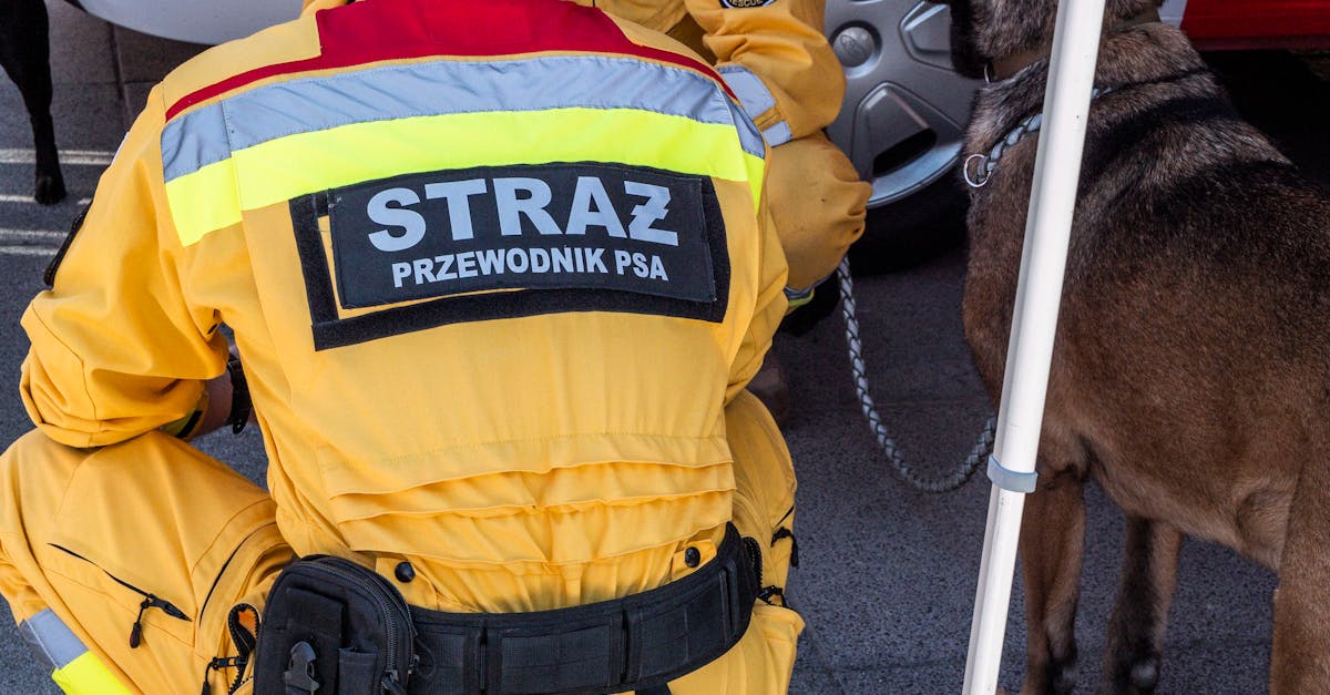 支付宝小号买卖:笔趣阁app官网详情下载教程