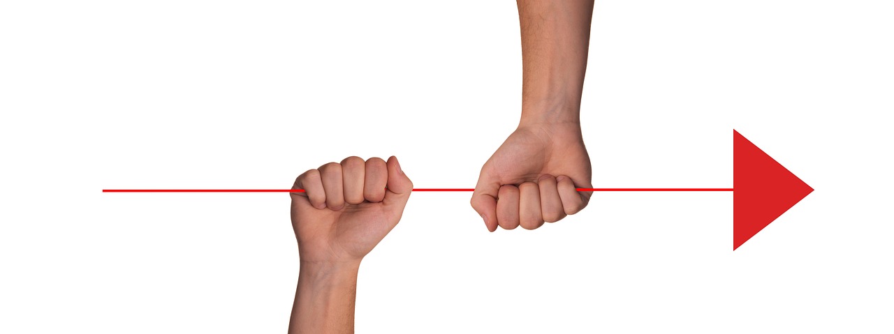 博猫游戏2生态康养平台加盟代理