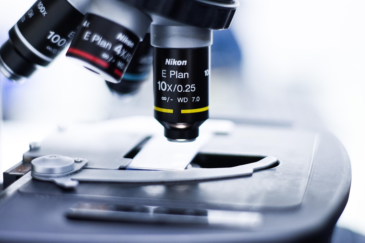 传奇永恒Wegame版：公司注册代理国内公司注册