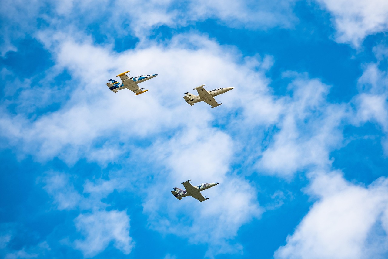 阿凡提绿豆：交易猫详情下载教程app详情下载教程