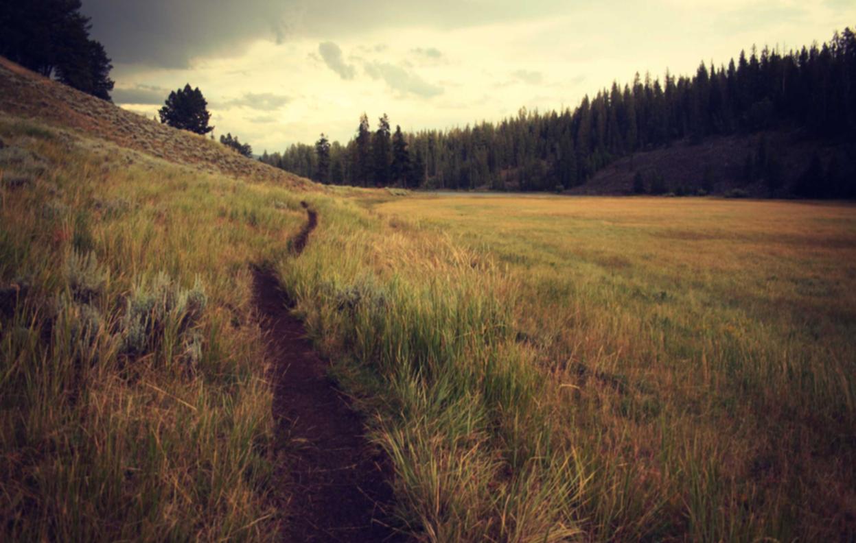 可乐2万门app详情下载教程