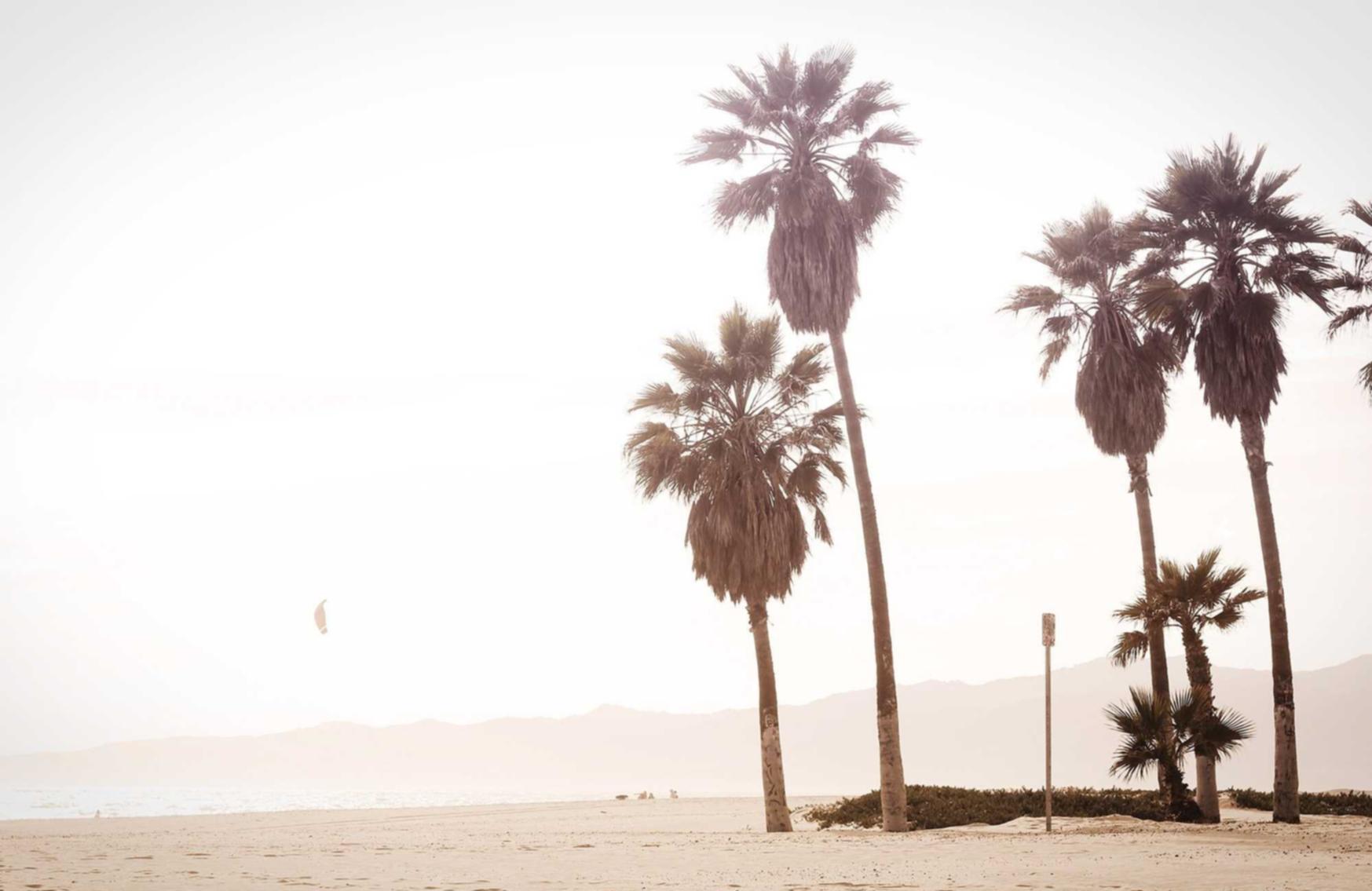 微信号白号批发：谷歌现在注册不了账号了