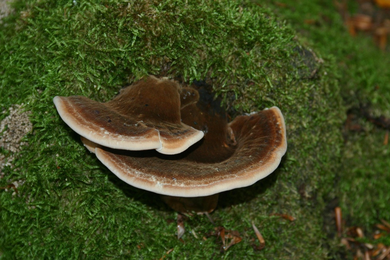 私人vx号买卖：同城公司注册代理